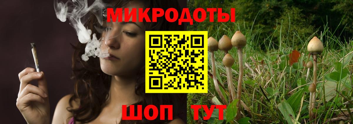 Галлюциногенные грибы Psilocybe  Псилоцибиновые грибы Magic Shrooms  Вход с VPN  Пенза 